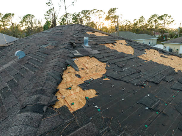 Best Roof Maintenance and Cleaning  in Mystic, CT